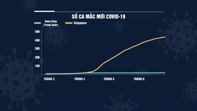 Bài học từ làn sóng COVID-19 thứ 3 tại Hong Kong (Trung Quốc) - Ảnh 3. Bài học từ làn sóng COVID-19 thứ 3 tại Hong Kong (Trung Quốc) - Ảnh 3.