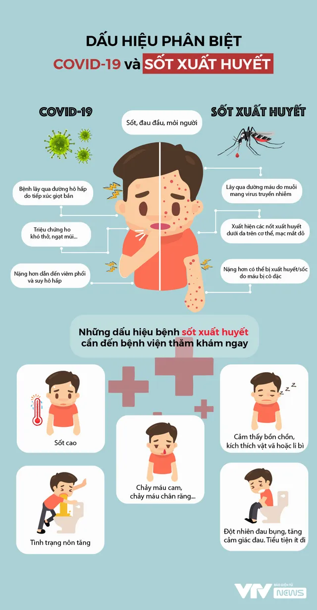 [INFOGRAPHIC] Dấu hiệu phân biệt COVID-19 và sốt xuất huyết - Ảnh 1.