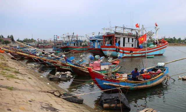 Ứng phó với áp thấp nhiệt đới có khả năng mạnh lên thành bão - Ảnh 1.