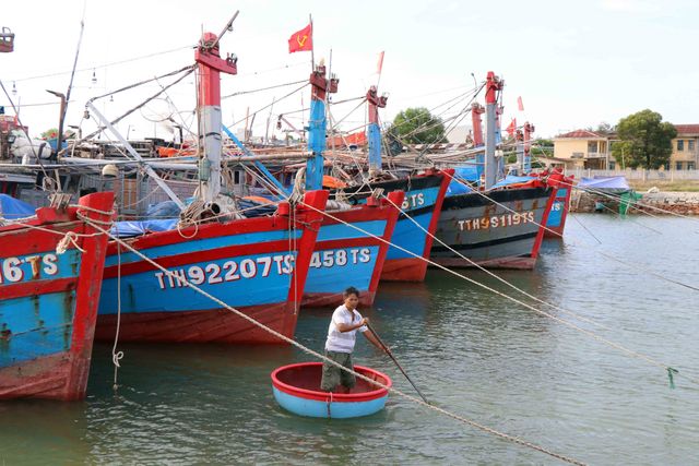 Chủ động ứng phó bão số 5, hạn chế thiệt hại về tính mạng và tài sản - Ảnh 1.