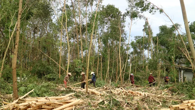 Phó Thủ tướng yêu cầu tập trung khắc phục hậu quả bão số 5 và ứng phó với mưa lũ - Ảnh 4.