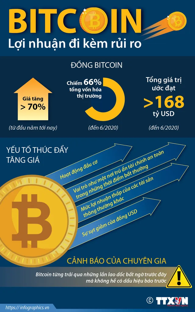 Bitcoin - Lợi nhuận đi kèm rủi ro - Ảnh 1.
