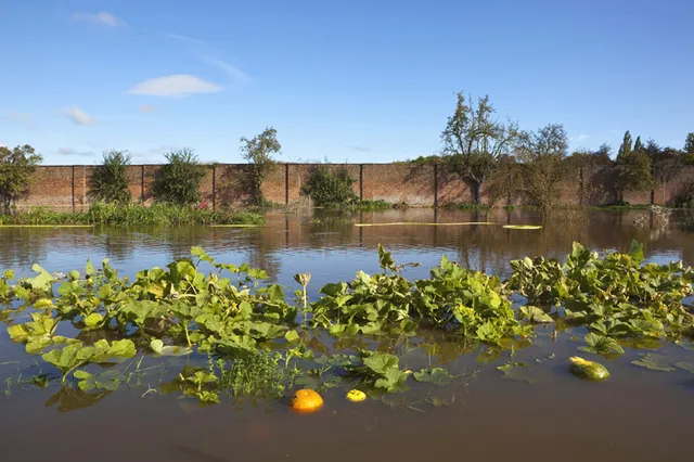 La Nina sẽ tạo ra điều gì trong năm 2020? - Ảnh 2.