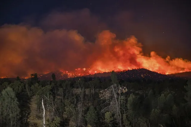 Cháy rừng tại California, 50.000 người phải sơ tán - Ảnh 3.