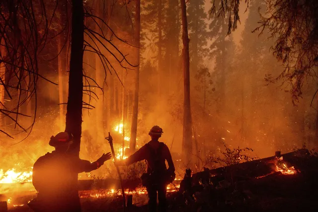 Hỏa hoạn tại California (Mỹ) thiêu rụi diện tích rừng kỷ lục - Ảnh 2.