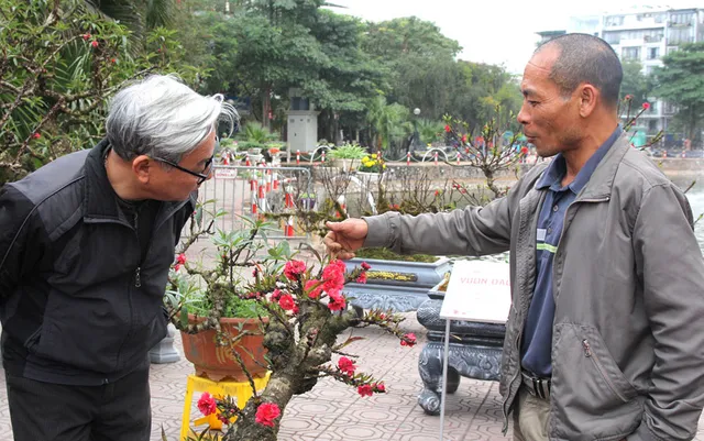 Không khí Tết ngập tràn tại Lễ hội hoa đào Nhật Tân - Ảnh 2.