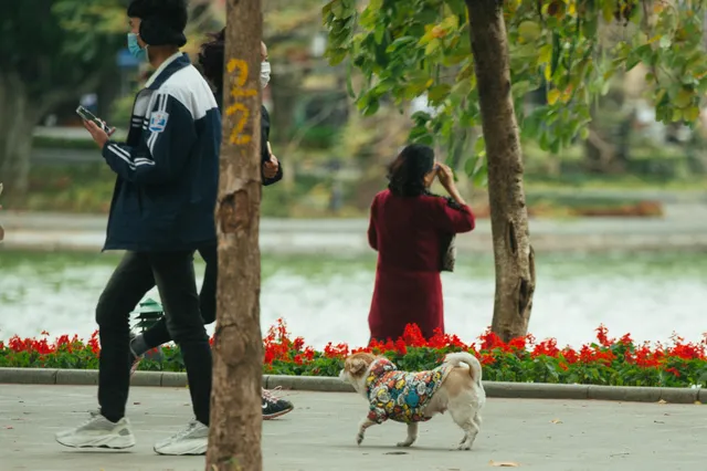 Muôn kiểu chống rét của người Hà Nội trong đợt rét đậm nhất đầu mùa - Ảnh 8. Muôn kiểu chống rét của người Hà Nội trong đợt rét đậm nhất đầu mùa - Ảnh 8.