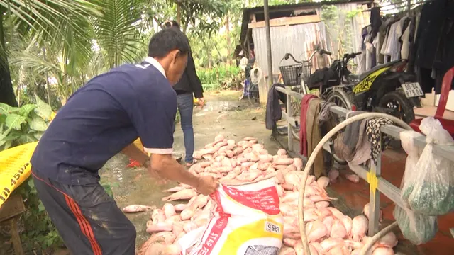 Hàng trăm tấn cá bè trên sông Đồng Nai chết trắng - Ảnh 1.