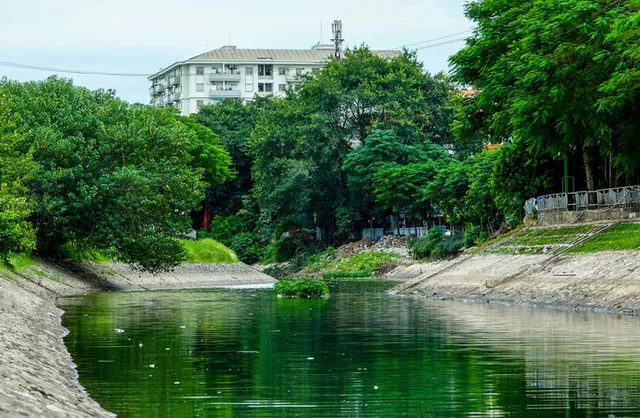 Sông Tô Lịch bất ngờ xanh, nhiều người dân vui mừng bắt hàng tạ cá - Ảnh 2.