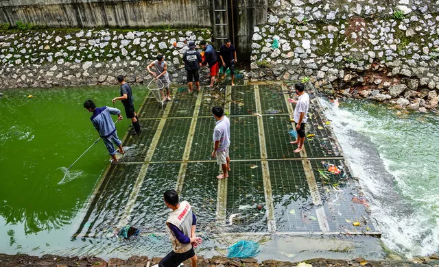 Sông Tô Lịch bất ngờ xanh, nhiều người dân vui mừng bắt hàng tạ cá - Ảnh 4.