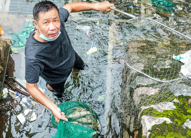 Sông Tô Lịch bất ngờ xanh, nhiều người dân vui mừng bắt hàng tạ cá - Ảnh 8.