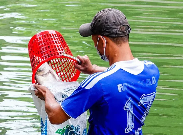 Sông Tô Lịch bất ngờ xanh, nhiều người dân vui mừng bắt hàng tạ cá - Ảnh 9.