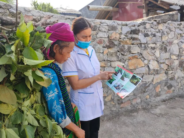 Tăng cường công tác phòng chống ngộ độc do độc tố tự nhiên - Ảnh 2. Tăng cường công tác phòng chống ngộ độc do độc tố tự nhiên - Ảnh 2.