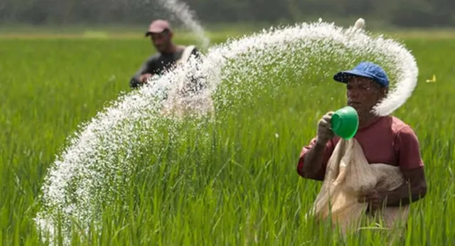 Sri Lanka phát hiện vi khuẩn gây hại trong lô phân bón Trung Quốc - Ảnh 1.