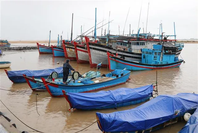 Chủ động ứng phó mưa lũ và áp thấp nhiệt đới - Ảnh 1.