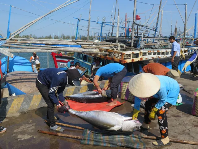 Thẻ vàng của EC với thuỷ sản Việt Nam: Cảnh báo “bay màu” vàng sang đỏ - Ảnh 1.