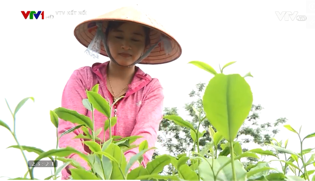 THTT tọa đàm Vượt bão: Lan tỏa tinh thần tích cực vượt lên nghịch cảnh - Ảnh 2.