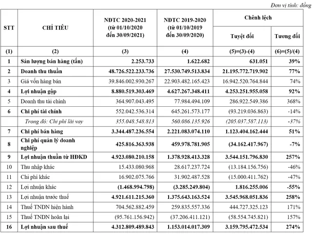 Tập đoàn Hoa Sen tăng trưởng mạnh trong Niên độ tài chính 2020-2021 - Ảnh 1.