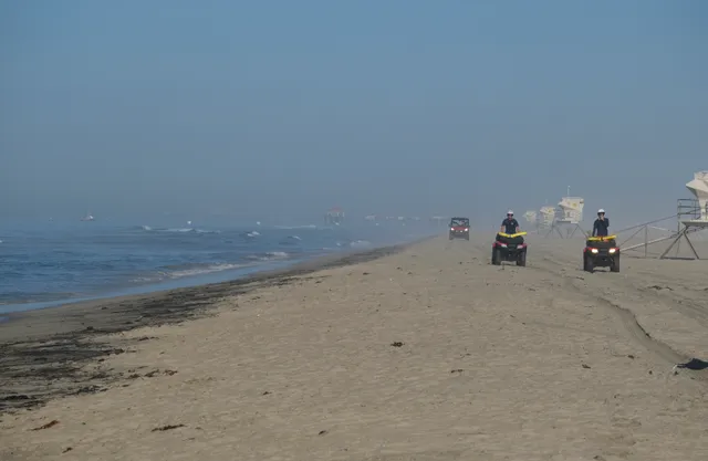 Tràn dầu nghiêm trọng ngoài khơi California, cá và chim chết trôi dạt vào bãi biển Huntington - Ảnh 1.