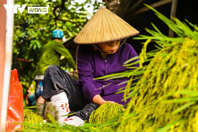 Bếp làng nhộn nhịp vì đặc sản mùa thu Hà Nội - Ảnh 3. Bếp làng nhộn nhịp vì đặc sản mùa thu Hà Nội - Ảnh 3.