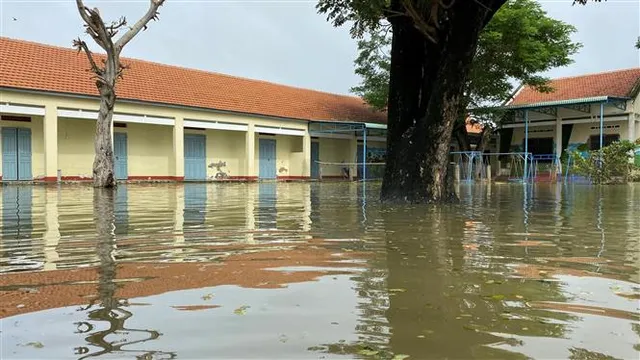 Bình Định: Hàng ngàn học sinh phải nghỉ học do mưa lũ - Ảnh 3.