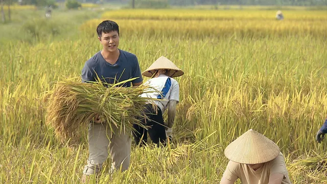 Phố trong làng - Tập 2: Nam gặp tình huống dở khóc dở cười ngay ngày làm việc đầu tiên tại Tân Xuân - Ảnh 12.