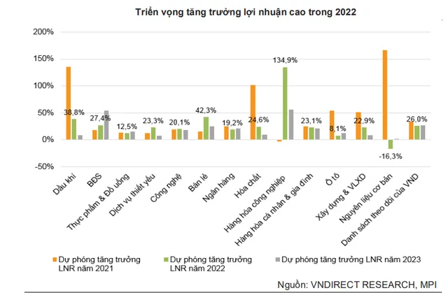 VNDirect: VN-Index có thể đạt 1700-1750 điểm trong năm 2022 - Ảnh 1.