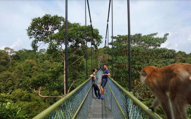 Những trải nghiệm thú vị không thể bỏ qua tại Singapore - Ảnh 7.