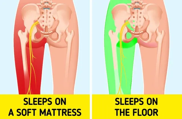 Ngủ dưới sàn nhà có thể tăng khả năng miễn dịch - Ảnh 4.