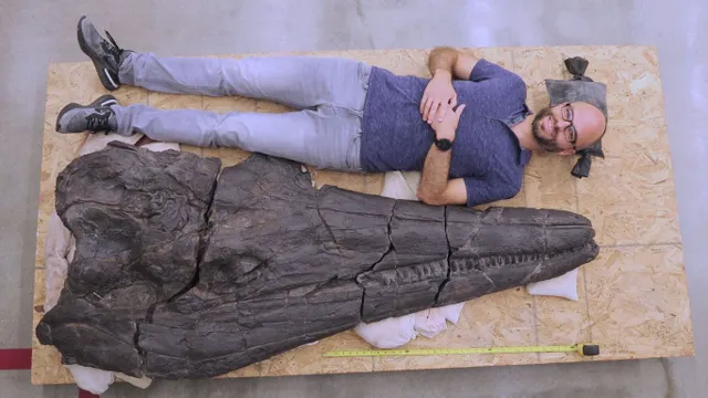 Hóa thạch “quái vật biển” Trias dài gần 17m được tìm thấy tại Nevada - Ảnh 1.