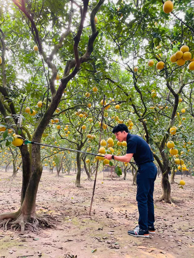 Diễn viên Việt tuần qua: Hồng Đăng đi ngắm bưởi, Phương Oanh khoe ảnh chất lừ - Ảnh 11.