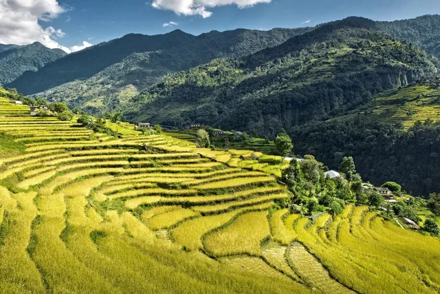 Bocbandi Retreat - Dẫn đầu xu hướng đầu tư nghỉ dưỡng tại Pù Luông - Ảnh 2.