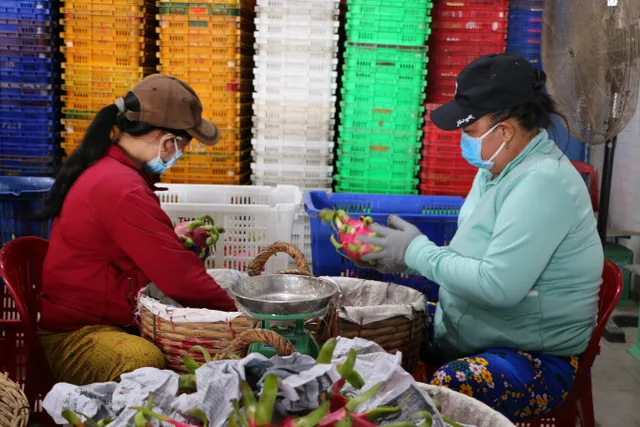 Kinh tế Việt Nam 2021: Vượt bão COVID-19, cơn say chứng khoán, phát sốt vì đất - Ảnh 15. Kinh tế Việt Nam 2021: Vượt bão COVID-19, cơn say chứng khoán, phát sốt vì đất - Ảnh 15.