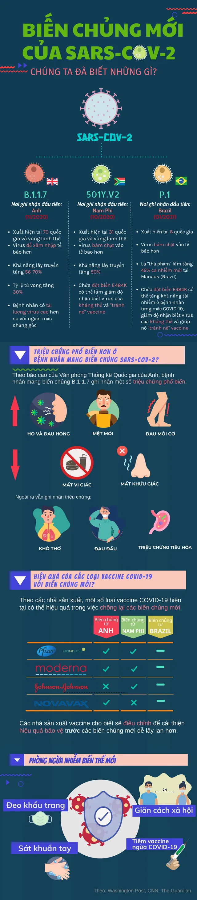 Hàng loạt biến chủng SARS-CoV-2 xuất hiện: Chúng ta đã biết những gì? - Ảnh 1. Hàng loạt biến chủng SARS-CoV-2 xuất hiện: Chúng ta đã biết những gì? - Ảnh 1.