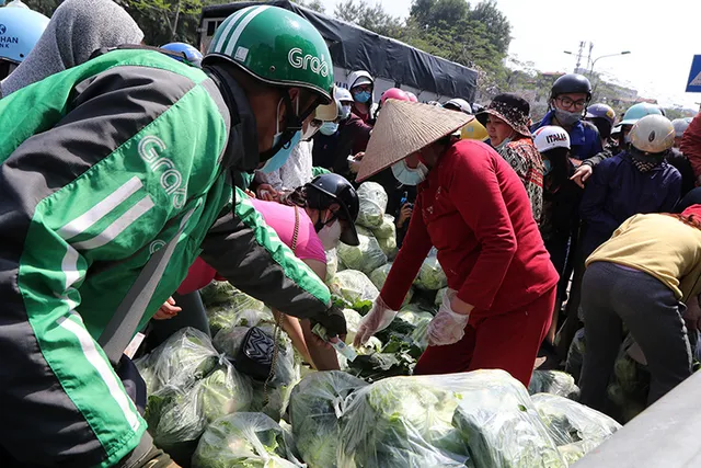 Hà Nội hỗ trợ Hải Dương “giải cứu” nông sản - Ảnh 2.