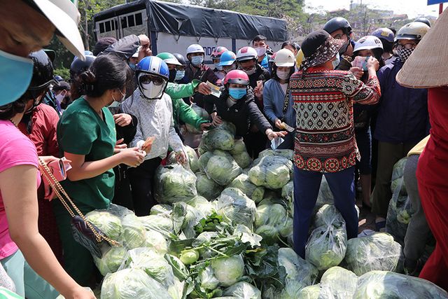 Giải cứu nông sản vùng dịch: Phép thử cho sự “hiệp đồng tác chiến”của các Bộ, ngành, địa phương - Ảnh 1.