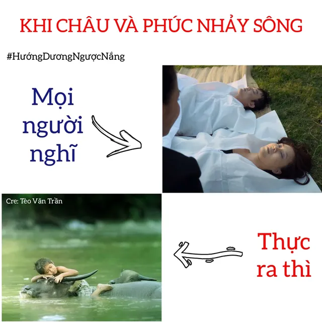 Bật cười với loạt ảnh chế Hướng dương ngược nắng từ phim bi thành phim hài - Ảnh 15.