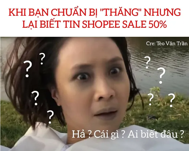 Bật cười với loạt ảnh chế Hướng dương ngược nắng từ phim bi thành phim hài - Ảnh 17.