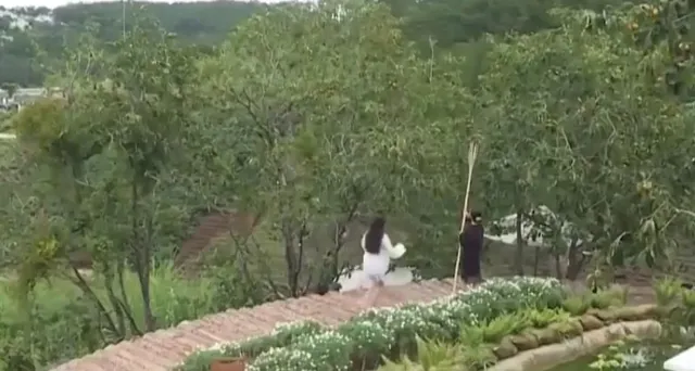 Nỗ lực giữ màu xanh cho Đà Lạt
