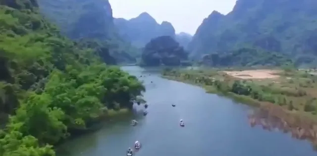 Rừng vối cổ thụ giữa Tràng An