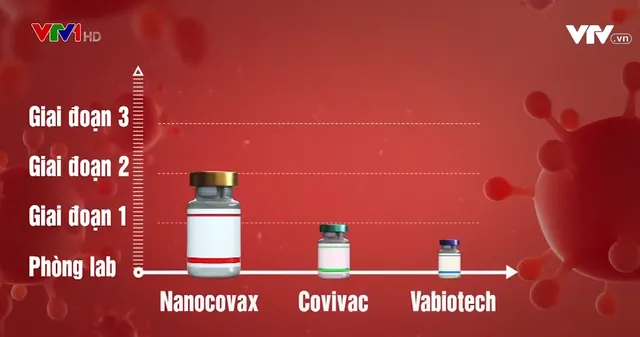 Vaccine là tấm khiên toàn năng đẩy lùi được dịch bệnh COVID-19? - Ảnh 1. Vaccine là tấm khiên toàn năng đẩy lùi được dịch bệnh COVID-19? - Ảnh 1.