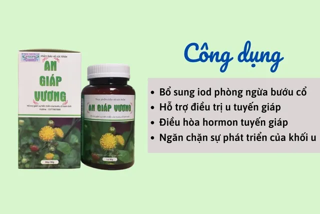 Bệnh nhân thành công điều trị u tuyến giáp với An Giáp Vương - Ảnh 3.