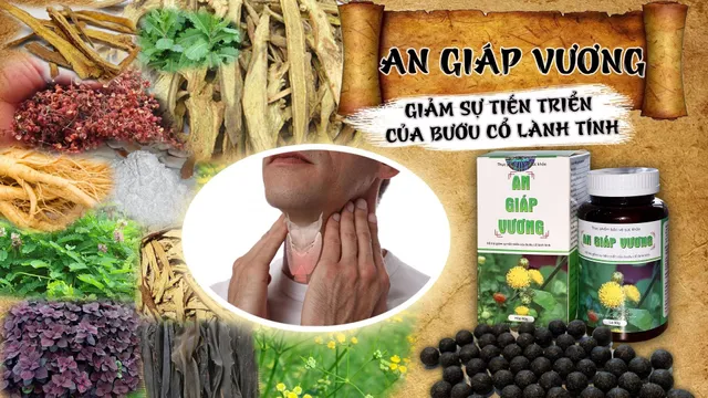 Bệnh nhân thành công điều trị u tuyến giáp với An Giáp Vương - Ảnh 4.