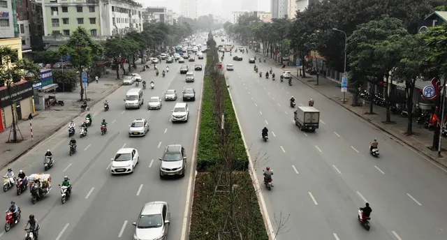 Cây xanh ở Thủ đô Hà Nội: Không thể cứ thích là trồng - Ảnh 2.