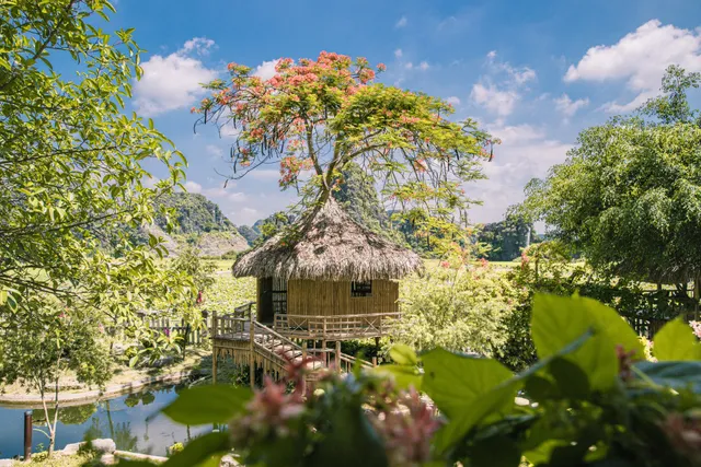 Hang Múa - điểm đến yêu thích của Năm du lịch quốc gia 2021 ở mảnh đất cố đô - Ảnh 1.