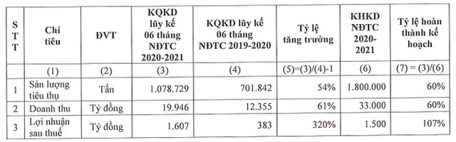 Hoa Sen (HSG) tiếp tục báo lãi cho quý II niên độ tài chính 2020 - 2021 - Ảnh 1.