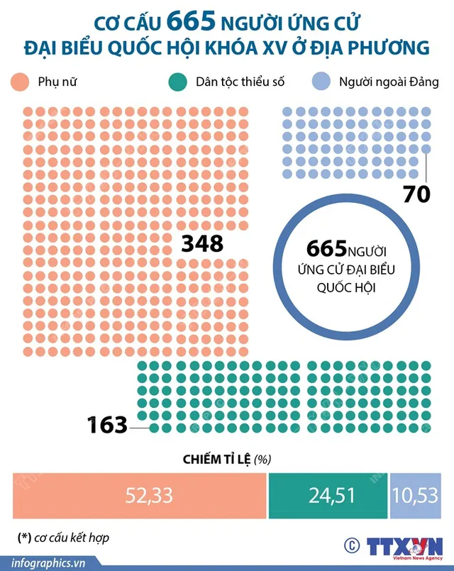 Thống kê về 868 người ứng cử đại biểu Quốc hội khóa XV - Ảnh 3.