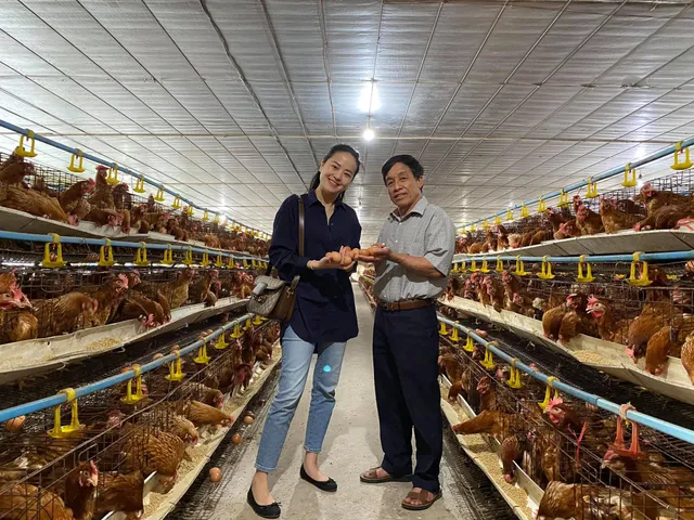 Nữ BTV Thời sự 19h biến hóa với gu thời trang sành điệu, tinh tế - Ảnh 26. Nữ BTV Thời sự 19h biến hóa với gu thời trang sành điệu, tinh tế - Ảnh 26.