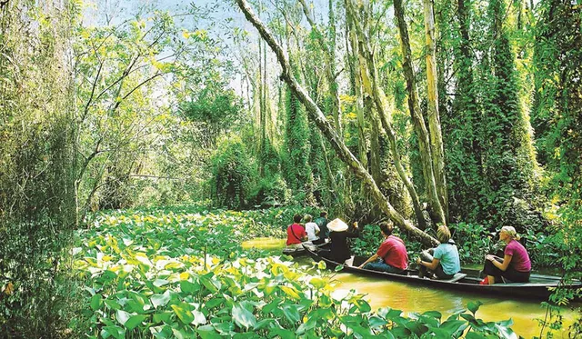 Ngành đường sắt:  Thị phần miếng da lừa, kết cục đắng cay và liều thuốc cứu trợ khẩn cấp - Ảnh 2.