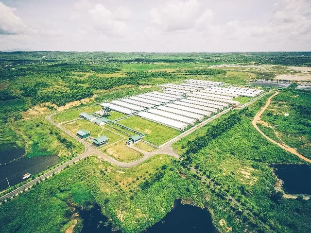 
GREENFEEDs high-quality Cu Jut breed farm in Dak Nong, Vietnam
